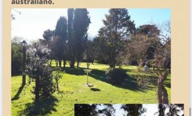 Campo en Venta de 78 Hectareas con casa en Miramar