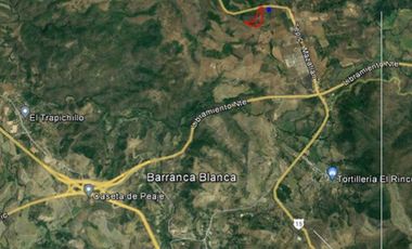 4.6 HECTÁREAS EN VENTA EN EL POBLADO EL RINCON, TEPIC, NAY (EL)