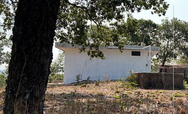 4.6 HECTÁREAS EN VENTA EN EL POBLADO EL RINCON, TEPIC, NAY (EL)
