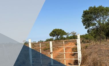 4.6 HECTÁREAS EN VENTA EN EL POBLADO EL RINCON, TEPIC, NAY (EL)