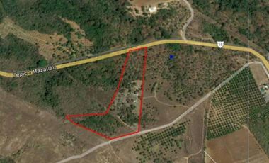 4.6 HECTÁREAS EN VENTA EN EL POBLADO EL RINCON, TEPIC, NAY (EL)