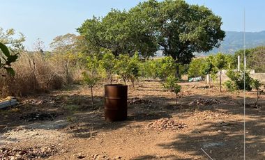 4.6 HECTÁREAS EN VENTA EN EL POBLADO EL RINCON, TEPIC, NAY (EL)