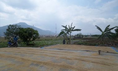 Tanah mainroad propinsi rancaekek bandung timur