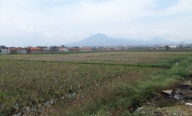 Tanah mainroad propinsi rancaekek bandung timur