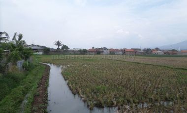 Tanah mainroad propinsi rancaekek bandung timur