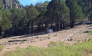 RANCHO EN VENTA CARICHI CD. CUAUHTÉMO, CHIHUAHUA.