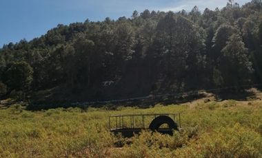 RANCHO EN VENTA CARICHI CD. CUAUHTÉMO, CHIHUAHUA.