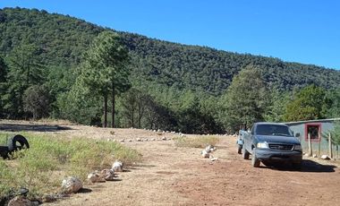 RANCHO EN VENTA CARICHI CD. CUAUHTÉMO, CHIHUAHUA.