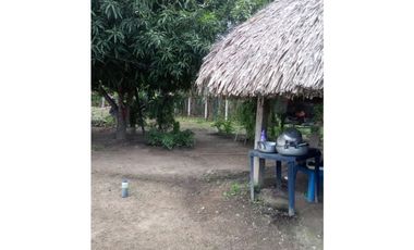 Vendo casa finca en los Pericos, Montería