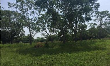 Rancho de 80 HECTAREAS CON ACCESO AL RÍO en venta en Alto Lucero. VERACRUZ, VER.