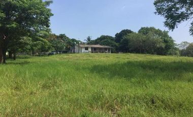 Rancho de 80 HECTAREAS CON ACCESO AL RÍO en venta en Alto Lucero. VERACRUZ, VER.