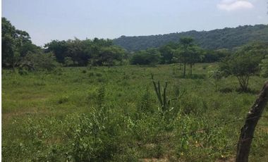 Rancho de 80 HECTAREAS CON ACCESO AL RÍO en venta en Alto Lucero. VERACRUZ, VER.