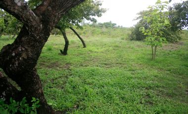 CASA FINCA EN VENTA EN SANTA RITA ANTON