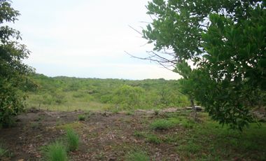 CASA FINCA EN VENTA EN SANTA RITA ANTON