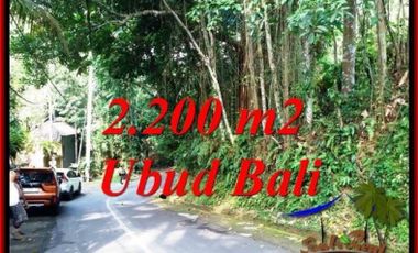 Tanah Dijual 2,200 m2 di Lingkungan Villa Sentral Ubud