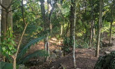 Loft Villa Tucan - Privacidad en las afueras de Tarapoto