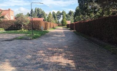 Disewakan Apartemen Taman Anggrek Residence tipe 2BR Full Furnished | TRSC031