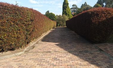 Disewakan Apartemen Taman Anggrek Residence tipe 2BR Full Furnished | TRSC031