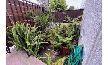 Hermosa casa  en venta Cerro Castillo, rebajada !