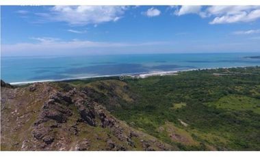 Venta 50.5 Hectáreas en Playa Caracol, Chame