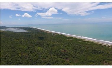 Venta 50.5 Hectáreas en Playa Caracol, Chame