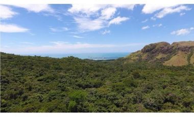 Venta 50.5 Hectáreas en Playa Caracol, Chame