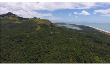 Venta 50.5 Hectáreas en Playa Caracol, Chame