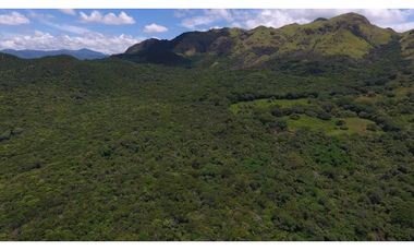 Venta 50.5 Hectáreas en Playa Caracol, Chame