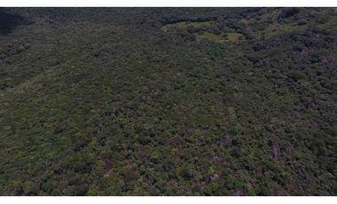 Venta 50.5 Hectáreas en Playa Caracol, Chame