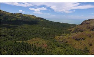 Venta 50.5 Hectáreas en Playa Caracol, Chame