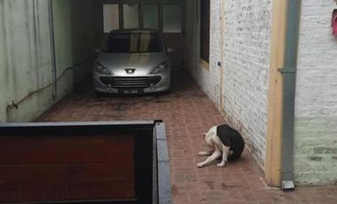 Venta de casa 3 Amb Monte grande