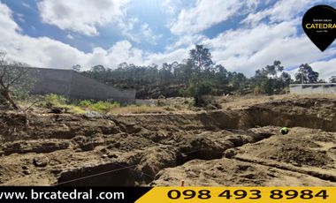 Terreno de venta en Charasol – código:20497