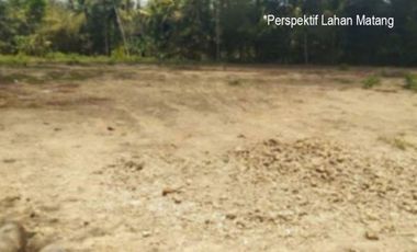 Kavling Dekat Pasar Kedungsukun, Sertipikat SHM: 60 Jt-an