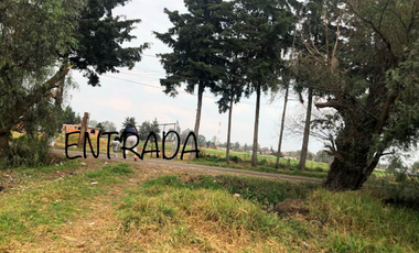 TERRENO EN RENTA EN SANTA BÁRBARA