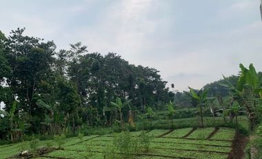 Kavling Cilame 10 menit Tol Padalarang