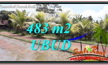 483 m2 Tanah Murah di Ubud Pejeng