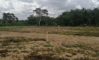 Proyecto Condominio Brisas del Llano / Arjona.