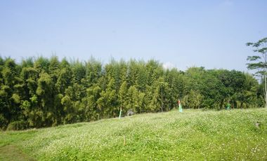 MILIKI VILLA MURAH NUANSA ASRI DI BANDUNG HANYA 300JUTAAN