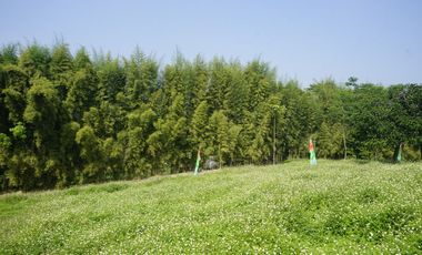 MILIKI VILLA MURAH NUANSA ASRI DI BANDUNG HANYA 300JUTAAN