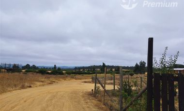 Sitio en venta en Marchige de 5000 m2