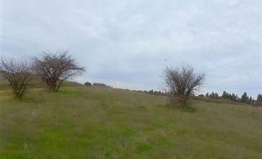 Sitio en venta en Marchige de 5000 m2