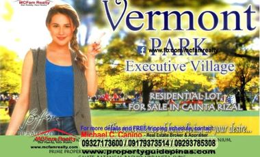LOT FOR SALE IN CAINTA RIZAL - VERMONT PARK EXECUTIVE VILLAGE