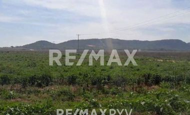 Terreno en Venta en Montemorelos, Nuevo León - (3)