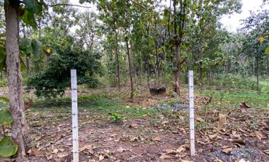 Land For Sale In Mae On