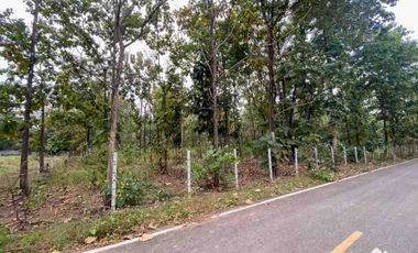 Land For Sale In Mae On