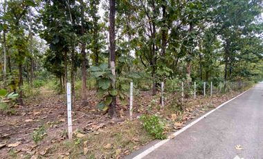 Land For Sale In Mae On