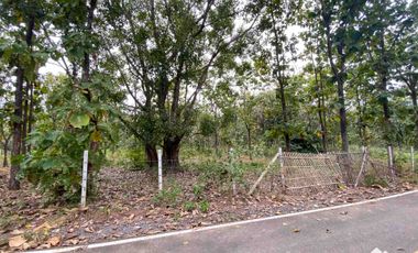 Land For Sale In Mae On