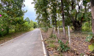 Land For Sale In Mae On