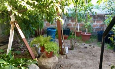 Casa,4dorm.2baños,terraza,patio,frutales, 2 estacionamientos