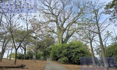 VENTA TERRENO SAMANES 1 FRENTE AL BOSQUE SECO TROPICAL (DB)